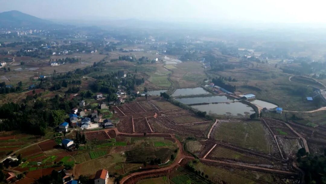 新年新愿 · 渠向2026 | 渠县：良田升级添动力 节本增收看得见